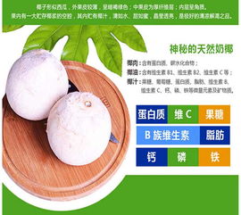 椰泰海南椰子汁 綠色食品供應商全覽與椰子食品深度解析