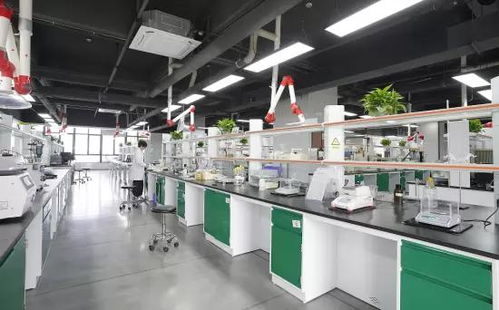技術驅動，全球布局 一家潤滑油企業的出海新篇章